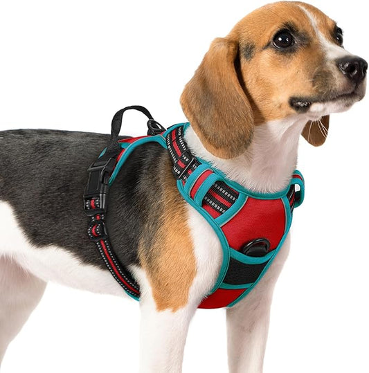 rabbitgoo Dog Harness, No-Pull Pet Harness with 2 Leash Clips, Adjustable Soft Padded Dog Vest, Reflective No-Choke Pet Oxford Vest with Easy Control Handle for Large Dogs, Red & Teal, M - PAWPICO