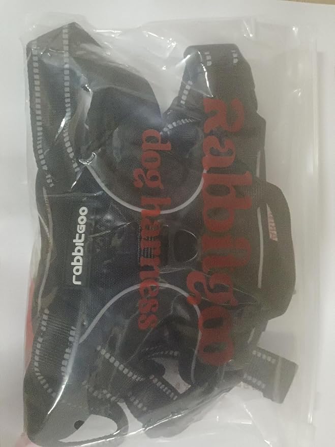 rabbitgoo Dog Harness No Pull with 2 Leash Clips, Adjustable Soft Padded, Reflective Oxford No Choke Pet Vest with Easy Control Handle for Large Dogs, Blue Coral, L rabbitgoo