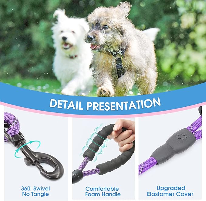 BAAPET 2/4/5/6 FT Dog Leash with Comfortable Padded Handle and Highly Reflective Threads for Small Medium and Large Dogs (5FT-1/3'', Purple) BAAPET