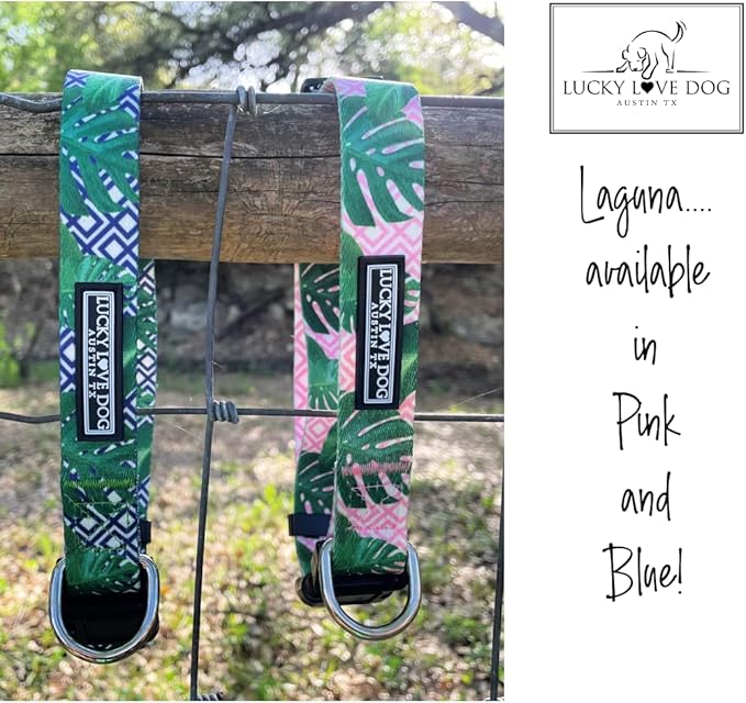 Lucky Love Dog, Tropical Matching Dog Collar & Leash Set, Soft & Comfy, Vivid Pink Color Collar and Leash for Female Male Dogs - (Large, Laguna Combo) LuckyLoveDog