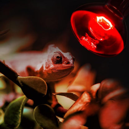 REPTI ZOO 100W Reptile Heat Lamp Bulbs Combo, Upgraded 2 Pack Day & Night Basking Spot Light, UVA Daylight Heating Lamp & Infrared Heat Lamp for Reptiles & Amphibians REPTIZOO