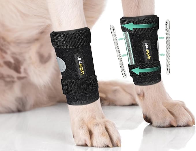 Dog Leg Brace Front Wrist or Carpal Support for Canine Dogs, Brace Compression Wraps with Metal Splints, Prevents Ankle Injuries&Sprains, Helps with Loss of Stability Caused by Arthritis Lyderpet
