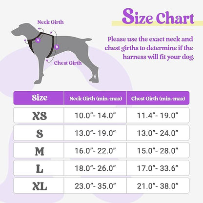 rabbitgoo Dog Harness No Pull with 2 Leash Clips, Adjustable Soft Padded, Reflective Oxford No Choke Pet Vest with Easy Control Handle for Puppy, Purple & Yellow, XS rabbitgoo