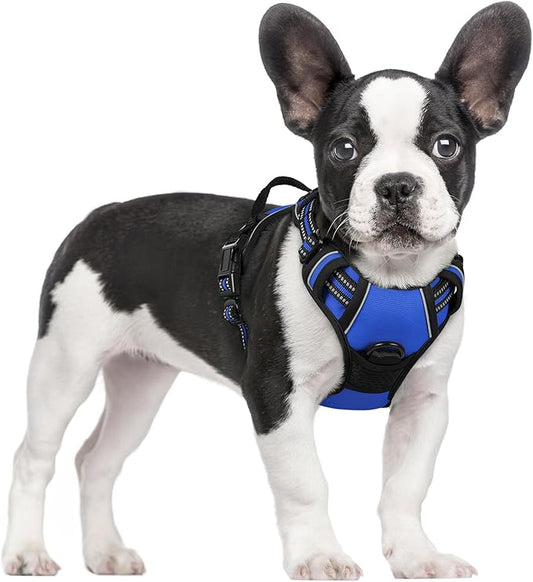rabbitgoo Dog Harness No Pull with 2 Leash Clips, Adjustable Soft Padded, Reflective Oxford No Choke Pet Vest with Easy Control Handle for Small Dogs, Dazzling Blue, S rabbitgoo