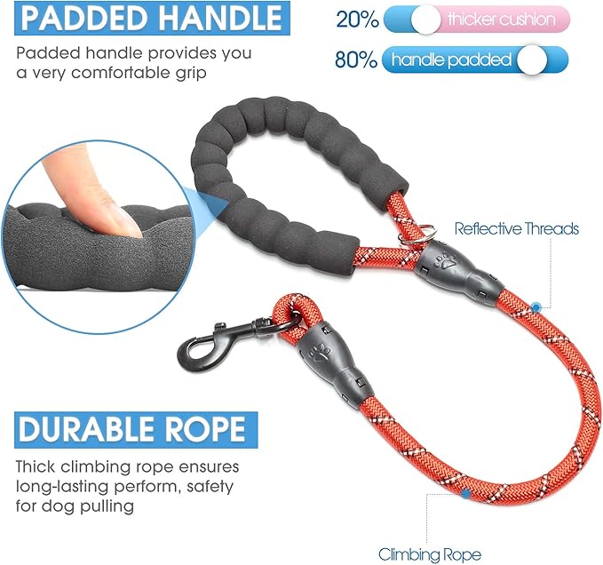 BAAPET 2/4/5/6 FT Dog Leash with Comfortable Padded Handle and Highly Reflective Threads for Small Medium and Large Dogs (2FT-1/2'', Red) - PAWPICO
