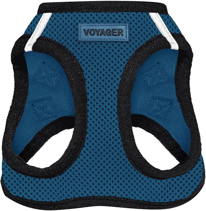 Voyager Step-In Air Dog Harness - All Weather Mesh, Reflective, No Pull Harness for Small, Medium Dogs, Cats - Secure with Hook & Loop Fastener, Buckle, Double D-Rings - Blue/Black Trim, XXS BestPetSuppliesLLC