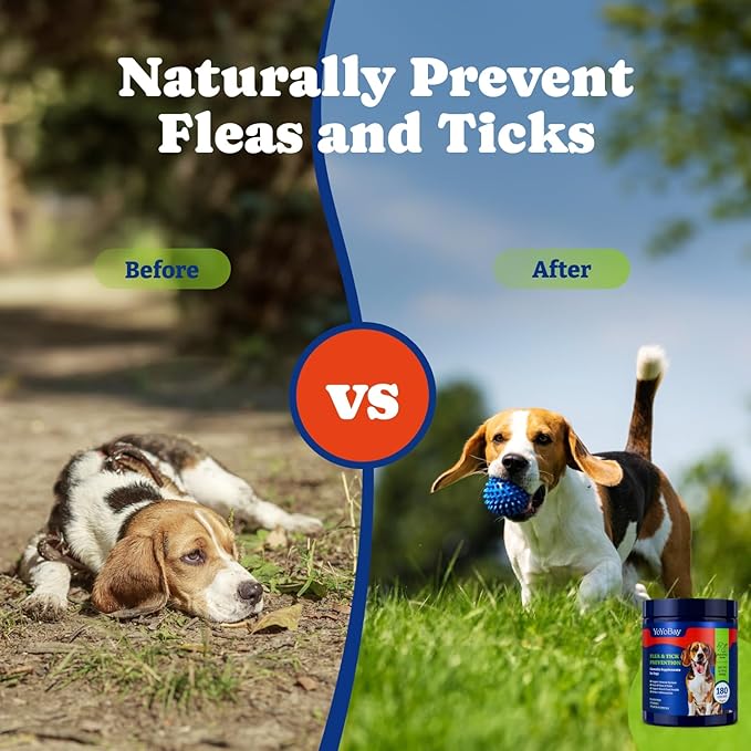 Flea and Tick Prevention for Dogs Chewable - 180 Soft Chews, Duck & Pear Flavor - Dog Flea and Tick Treatment Chewable, Natural Defense- Dog Immune Support Supplement YoYoBay