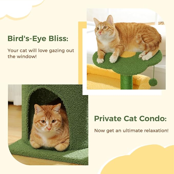 Made4Pets Cat Tree, 36.5 Inches Cat Tower for Indoor Cats, Multi-Level Cactus Cat Tree with Scratching Posts, Private Cat Condo, Plush Perch for Small Cat Kittens - PAWPICO