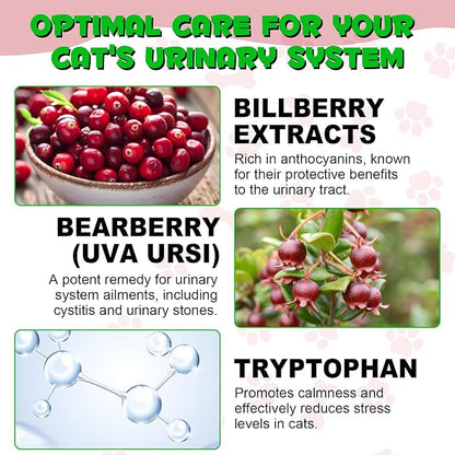 Urinary Tract for Cats, Natural Cat Urinary Tract Infection Treatment Drops - Supports Bladder, Kidney Stone, Dog UTI, Cranberry Kidney Bladder Support Supplement, Chicken Flavor - 60 ml / 2.02oz PAWPICO