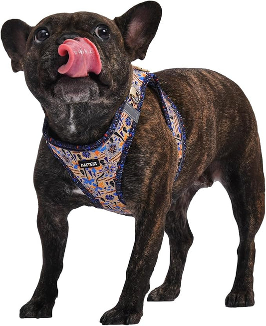 AMTOR Small Dog Harness with Leash Set, No Escape Easy Walk Puppy Harnesses for Training Walking, Step-in Reflective Soft Dogs Vest for XS S Medium Extra-Small Large Sized Dog(Beige Coconut) AMTOR