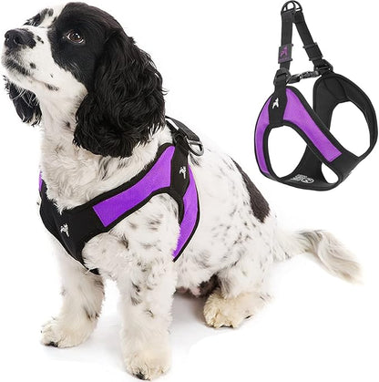 Gooby Escape Free Easy Fit Harness - Purple, Small - No Pull Step-in Patented Small Dog Harness with Quick Release Buckle - Perfect On The Go No Pull Harness for Small Dogs or Medium Dog Harness Gooby