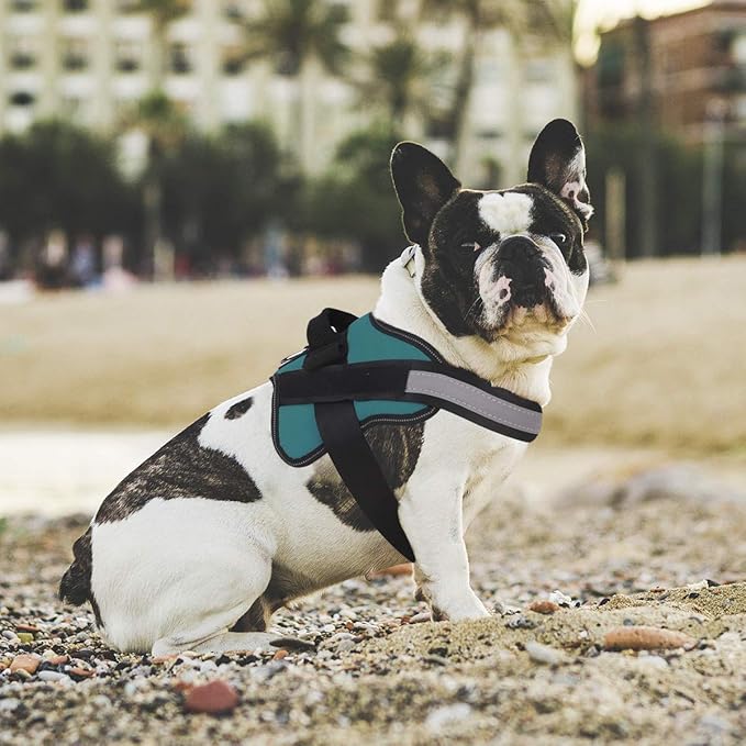 Bolux Dog Harness, No-Pull Reflective Dog Vest, Breathable Adjustable Pet Harness with Handle for Outdoor Walking - No More Pulling, Tugging or Choking (Turquoise, M) Bolux