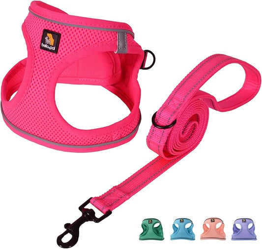 BELLA & PAL Puppy Harness with Leash Set, Dog Harness for Small Dogs No Pull, Dog Leash for Small Dogs, Step in Harness for Extra Small Dogs, Hot Pink Harness, XS BELLAPAL