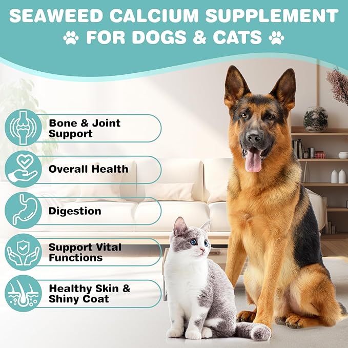 Seaweed Calcium for Dogs, Calcium for Dogs, Cats, Supports Joint, Teeth and Bone Health, High Digestibility Dog Calcium, Pure Clean Icelandic Calcium Powder for Dogs, Tested for Purity, 12 Oz DIYTOOLSMAN