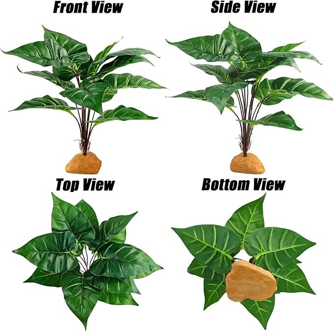 Woyrise Reptile Artificial Plants for Terrarium Decor, Amphibian Habitat Decorations Bearded Dragon Tank Accessories fit Crested Gecko Leopard Lizard Chameleon Ball Python Snake Frog - Fake Rohdea Woyrise