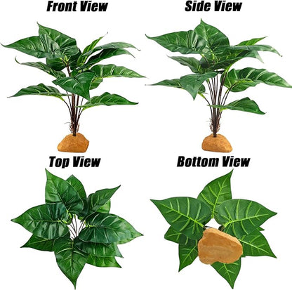 Woyrise Reptile Artificial Plants for Terrarium Decor, Amphibian Habitat Decorations Bearded Dragon Tank Accessories fit Crested Gecko Leopard Lizard Chameleon Ball Python Snake Frog - Fake Rohdea Woyrise