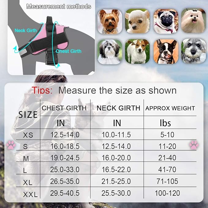 Bolux Dog Harness, No-Pull Reflective Dog Vest, Breathable Adjustable Pet Harness with Handle for Outdoor Walking - No More Pulling, Tugging or Choking (Pink, S) Bolux