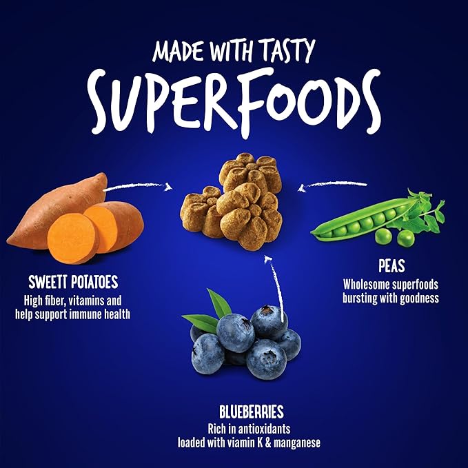 Fruitables Skinny Mini Dog Treats – Healthy Treats for Dogs – Low Calorie Training Treats – Free of Wheat, Corn and Soy – Pumpkin and Berry – 12 Ounces - PAWPICO