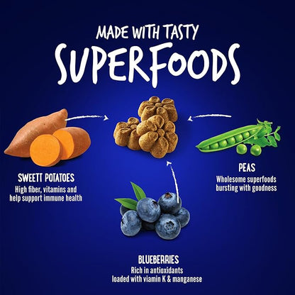 Fruitables Skinny Mini Dog Treats – Healthy Treats for Dogs – Low Calorie Training Treats – Free of Wheat, Corn and Soy – Pumpkin and Berry – 12 Ounces - PAWPICO