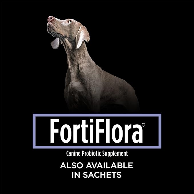 Purina Pro Plan Veterinary Supplements FortiFlora Chewable Dog Probiotic Supplement Tablets - 45 ct. Canister ProPlanVeterinaryDiets
