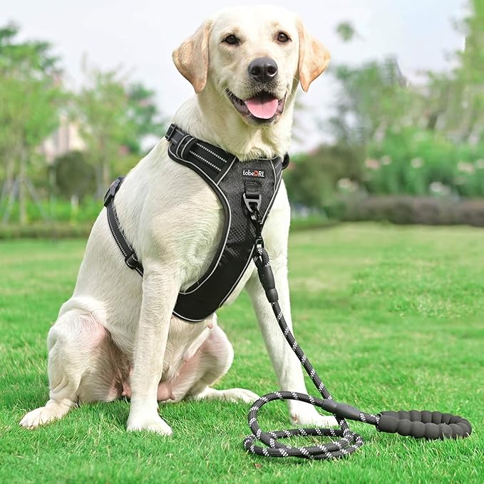 No Pull Dog Harness Adjustable Reflective Oxford Easy Control Medium Large Dog Harness with A Free Heavy Duty 5ft Dog Leash (XL (Neck: 21.5"-33", Chest: 30"-39.5"), Black Harness+Leash) tobeDRI