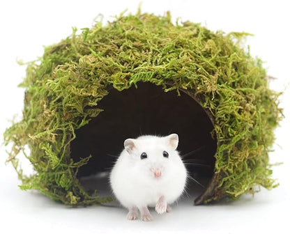 Hamster Hideaway,Hamster Hideout,Mossy Cave Hide,Hamster House/Hides,Hamster Cage Accessories for Gguinea Pig/Hedgehogs/Gliders/Rats/Mice and Other Small Animals (Large) SanmooAio