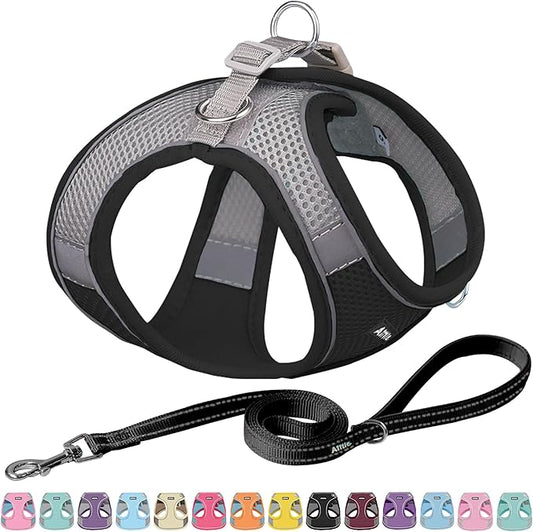 AIITLE No Pull Dog Harness and Leash Set, Step in Adjustable Dog Harness with Padded Vest for All Weather, Dog Leash with Soft Padded Handle, Easy to Put on Small and Medium Dogs Black S AIITLE-FORPETSBETTERLIFE