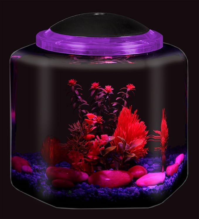 Koller Products 2-Gallon Hex Aquarium Starter Tank - LED Lighting (7 Color Selections), Impact-Resistant Plastic Fish Bowl with Stand for Betta/Nano/Goldfish, Wedding Event & Home Decor DISCOVERTHEEXCITINGWORLDOFKEEPINGTROPICALFISH