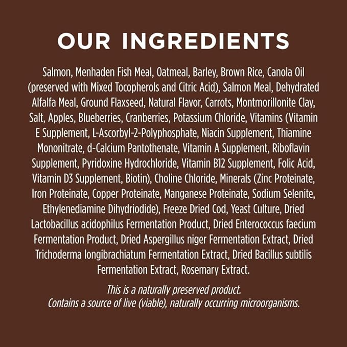 Instinct Be Natural Real Salmon & Brown Rice Recipe Natural Dry Dog Food, 24 lb. Bag - PAWPICO