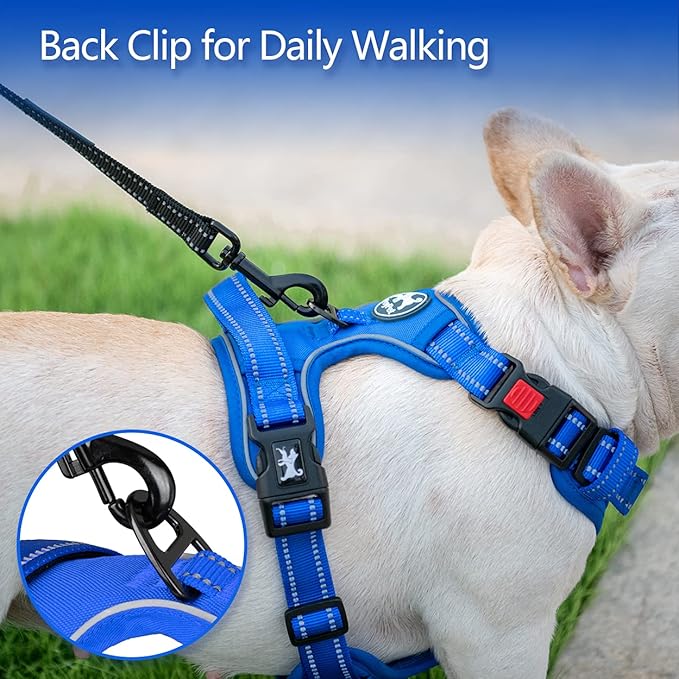 PoyPet No Pull Dog Harness, No Choke Reflective Dog Vest, Adjustable Pet Harnesses with Easy Control Padded Handle for Small Medium Large Dogs(Royal Blue,M) PoyPet