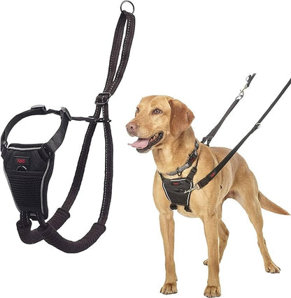 HALTI No Pull Harness - To Stop Your Dog Pulling on the Leash. Adjustable, Lightweight and Easy to Use. Reflective Dog Training Harness for Medium Dogs (Size M) CompanyofAnimals
