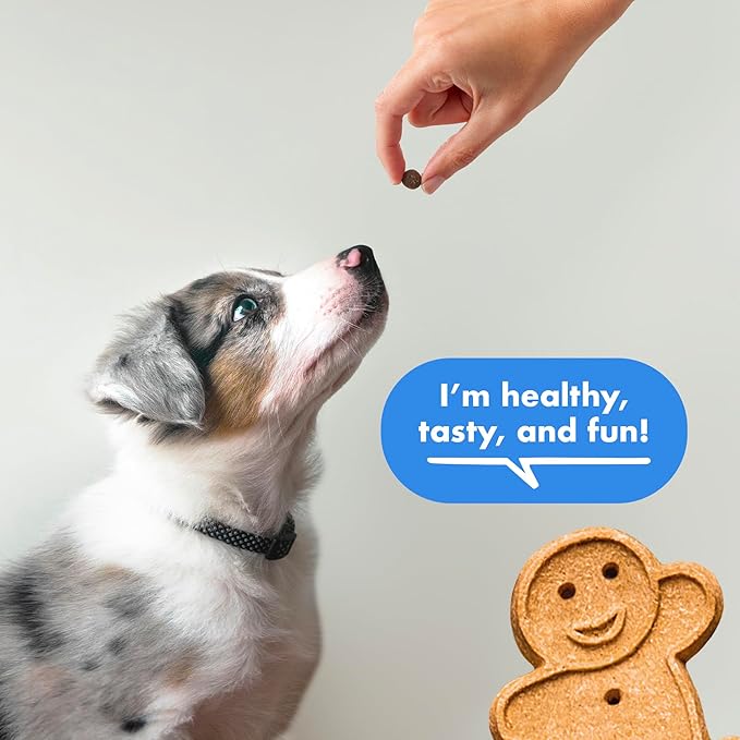 Buddy Biscuits Trainers 10 oz. Pouch of Training Bites Soft & Chewy Dog Treats Made with Bacon Flavor - PAWPICO