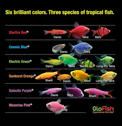 GloFish 20 Gallon Aquarium Kit with LED Lights, Decor Heater and Filter GloFish