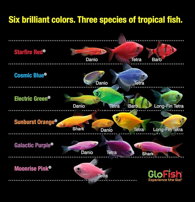 Glofish 10 Gallon Aquarium Fish Tank Kits, Includes LED Lighting and Décor (Amazon Exclusive) GloFish