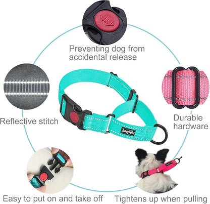 haapaw 2 Packs Martingale Dog Collar with Quick Release Buckle Reflective Dog Training Collars for Small Medium Large Dogs haapaw