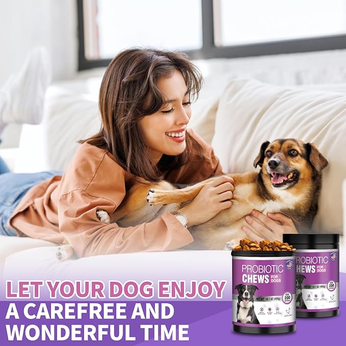 Probiotics For Dogs Chews 400 Probiotic and Digestive Enzymes Gut Health Itching Dog Digestive Health Yeast Prebiotic Supplement Immune Support Reduce Diarrhea Soft Chewable Tablets (Chicken Flavor) TTLXBLprotectsdoghealth