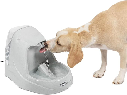 PetSafe Drinkwell Platinum Cat Water Fountain (168 oz/5L) Pet Water Fountain for All Pet Sizes, Indoor Use, Encourages More Drinking, Includes Replaceable Carbon Filter, Grey - PAWPICO