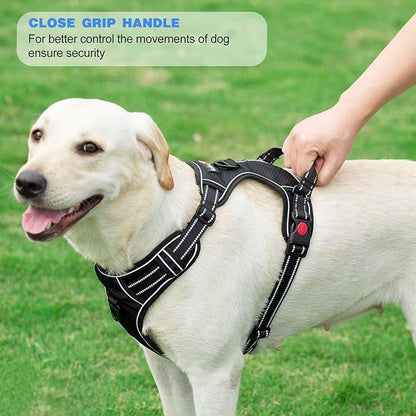tobeDRI No Pull Dog Harness Adjustable Reflective Oxford Easy Control Medium Large Dog Harness with A Free Heavy Duty 5ft Dog Leash (XL (Neck: 21.5"-33", Chest: 30"-39.5"), Black Harness+Leash) - PAWPICO
