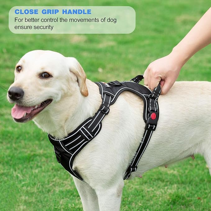 No Pull Dog Harness Adjustable Reflective Oxford Easy Control Medium Large Dog Harness with A Free Heavy Duty 5ft Dog Leash (S (Neck: 13"-18", Chest: 17.5"-22"), Pink Harness+Leash) tobeDRI