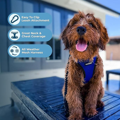 Voyager Step-in Air Dog Harness - All Weather Mesh, Reflective, No Pull Harness for Small, Medium Dogs, Cats - Secure with Hook & Loop Fastener, Buckle, Double D-Rings - Royal Blue/Black Trim, M BestPetSuppliesLLC