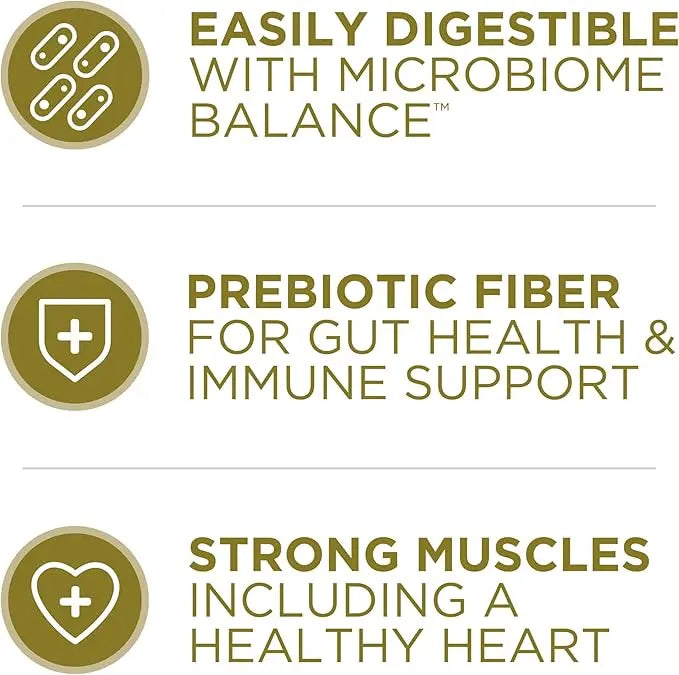 Purina ONE Dry Dog Food Lamb and Rice Formula - (Pack of 4) 4 lb. Bags - PAWPICO