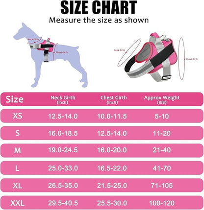 Bolux Dog Harness, No-Pull Reflective Dog Vest, Breathable Adjustable Pet Harness with Handle for Outdoor Walking - No More Pulling, Tugging or Choking (Fuchsia, X-Small (Pack of 1)) Bolux