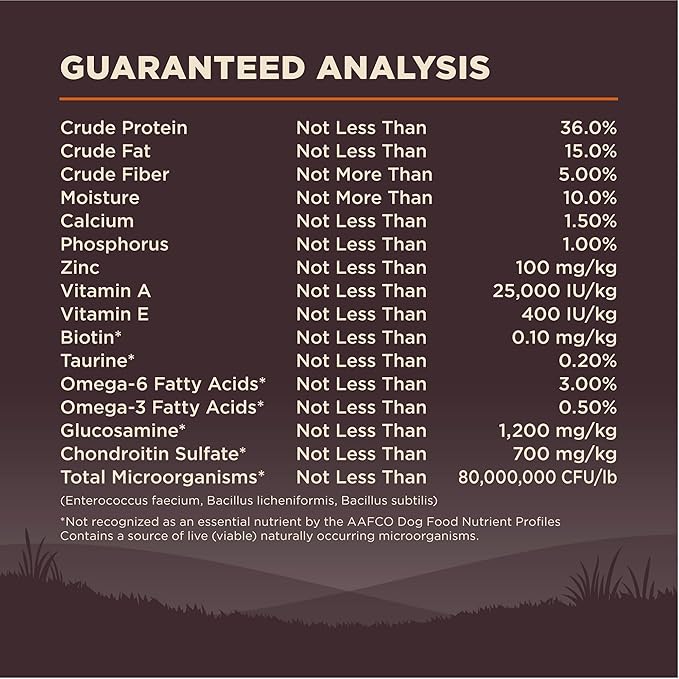 Wellness Natural Pet Food CORE Grain-Free High-Protein Small Breed Dry Dog Food, Natural Ingredients, Made in USA with Real Meat (Adult, Turkey, 4-Pound Bag) - PAWPICO