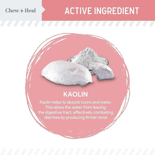 Chew + Heal Labs Anti Diarrhea for Dogs - 2 oz. of Stop The Diarrhea Liquid Supplement with Kaolin - for Diarrhea and Upset Stomach Relief - Made in The USA ChewHeal