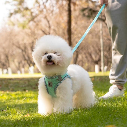 Dog Harness and Leash Set, No Pull Pet Harness for Small Dogs Easy Walking,Soft Breathable Small Dog Harness,Adjustable Reflective Step in Vest Harness for Puppy,Kitten, Cats - PAWPICO