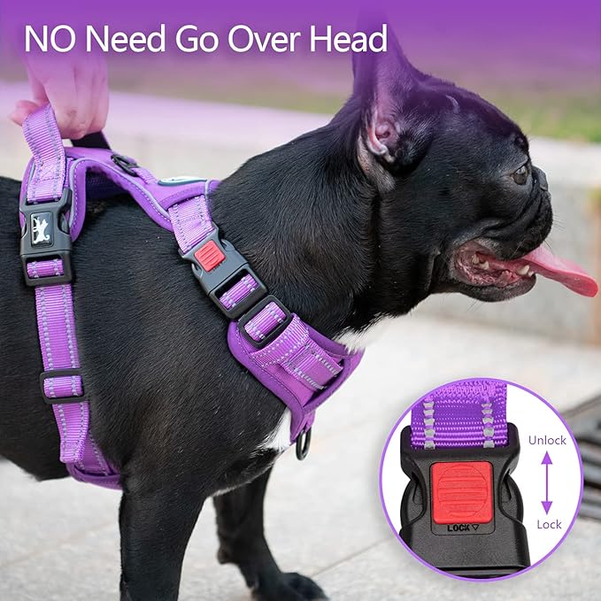 PoyPet No Pull Dog Harness, No Choke Reflective Dog Vest, Adjustable Pet Harnesses with Easy Control Padded Handle for Small Medium Large Dogs(Purple Matching Trim,M) PoyPet