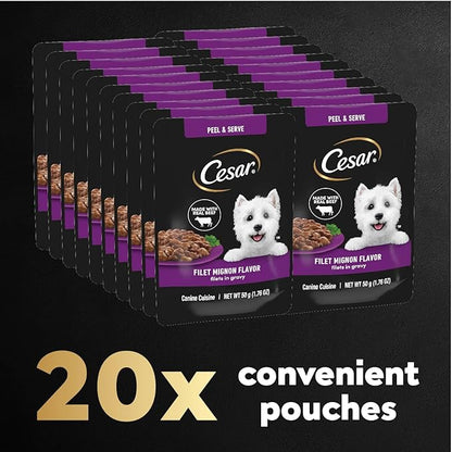 Cesar Filets in Gravy Wet Dog Food Filet Mignon Flavor, 1.76 oz. Mini-Pouch, 20 Pack - PAWPICO