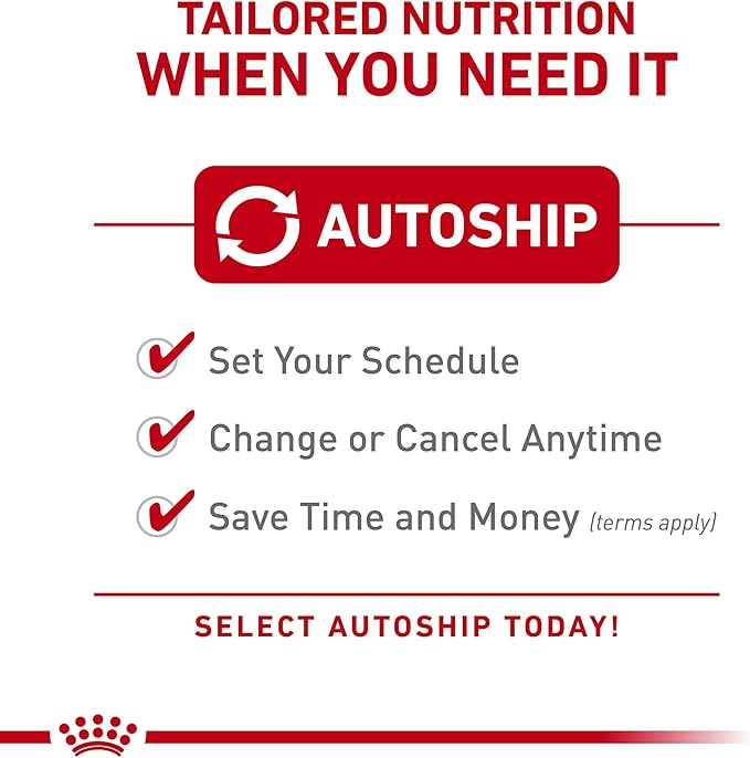 Royal Canin Small Breed Adult Dry Dog Food, 14 lb bag - PAWPICO