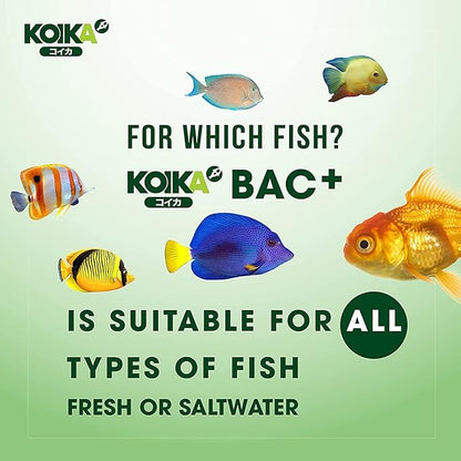 KOIKA BAC+ Aquarium Probiotics, Pleasant Smell, Immunity Boosting, Disease Resistance (BAC+ (New Formula), 120ml) Koika