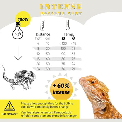 Basking Light for Reptiles, 2-Pack 100W Upgraded Intense Basking Spot, Reptile Basking Bulb Light, UVA Heat Lamp Bulb for Bearded Dragon Turtle Chicken ReptiKing